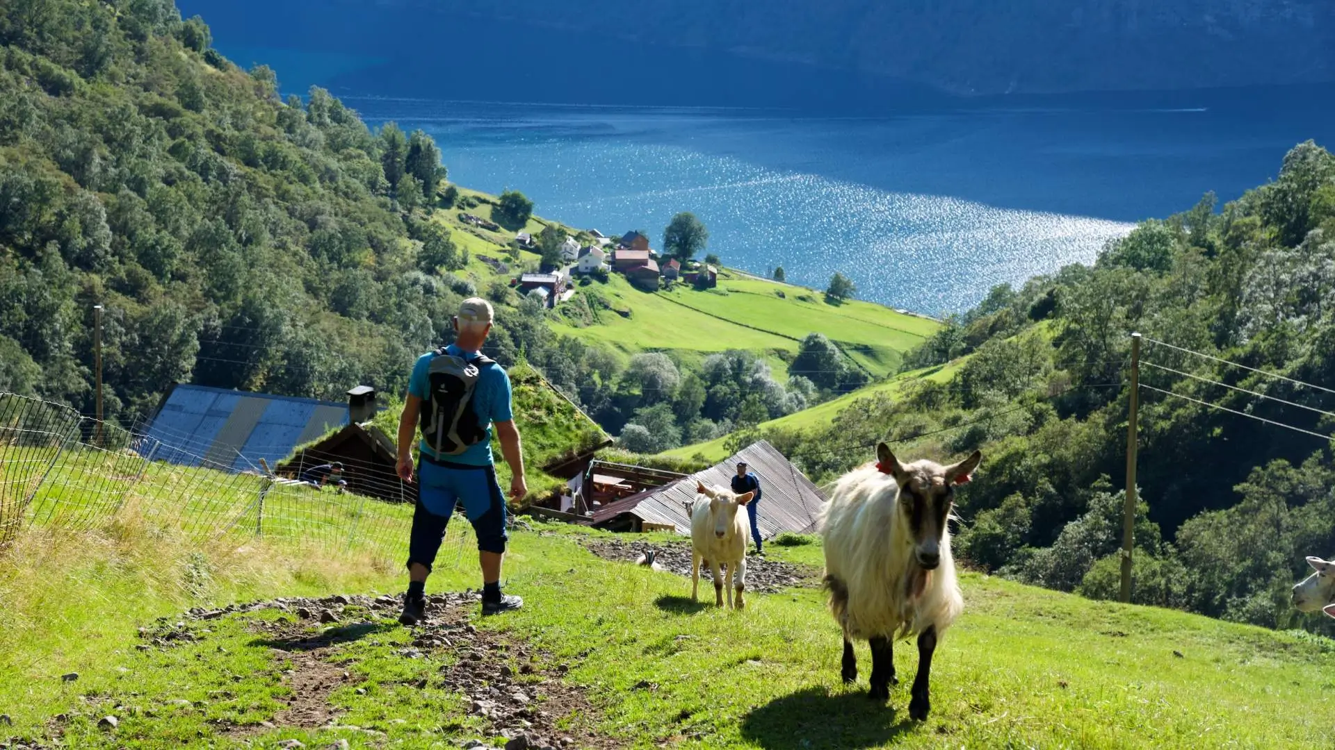Utsikt over fjorden frå stien i Skjerdal. Foto: Visit Sognefjord